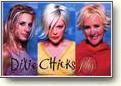 Buy the Dixie Chicks Poster